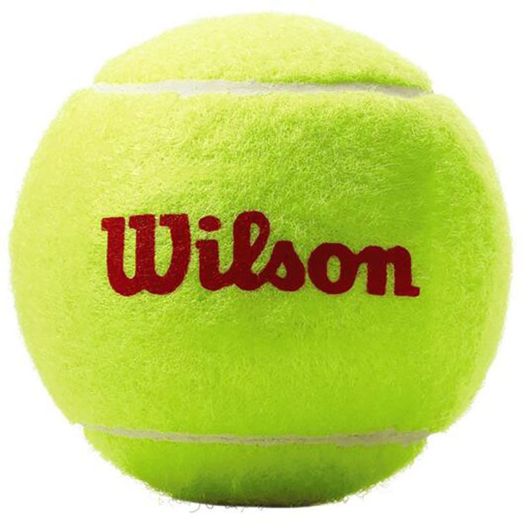 Wilson Tennisballen Roland Garros Rood 3 Ballen