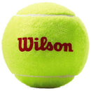 Wilson Tennisballen Roland Garros Rood 3 Ballen
