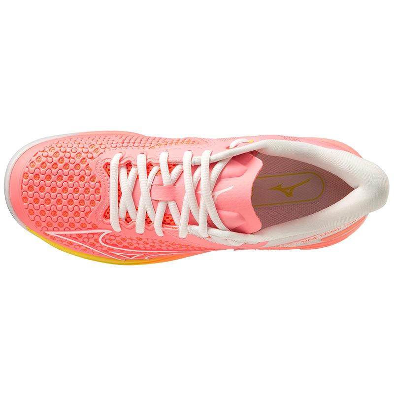 Mizuno Tennisschoen Padelschoen Wave Exceed Tour 5 CC Dames Roze