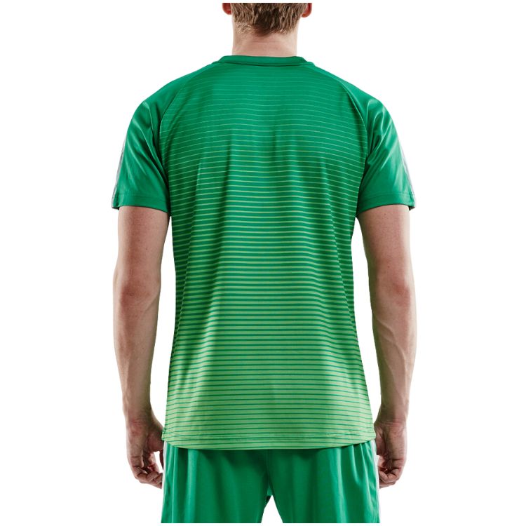 Craft T-Shirt Pro Control Stripe Jersey Heren Groen