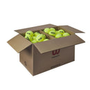 Wilson Tennisballen Triniti Club Drukloos Doos 72 Ballen
