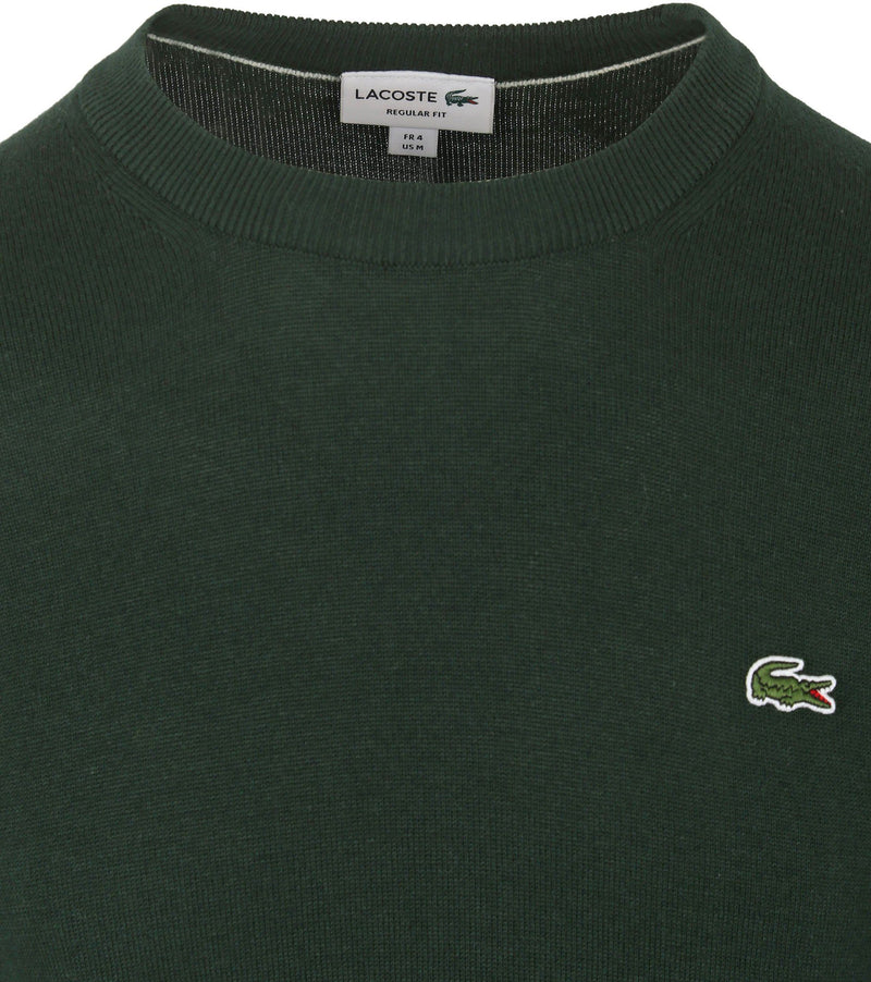 Lacoste Sweater Sport Pullover Ronde Hals Heren Groen