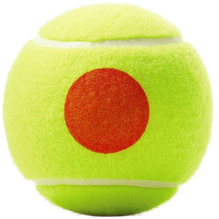 Wilson Tennisballen Roland Garros Oranje 3 Ballen